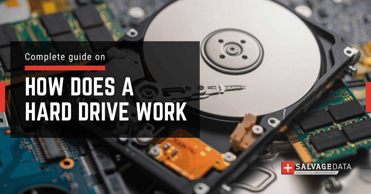 Have you ever wondered how a hard drive works to store and retrieve data? In this guide, we explore how a hard drive works to store data.